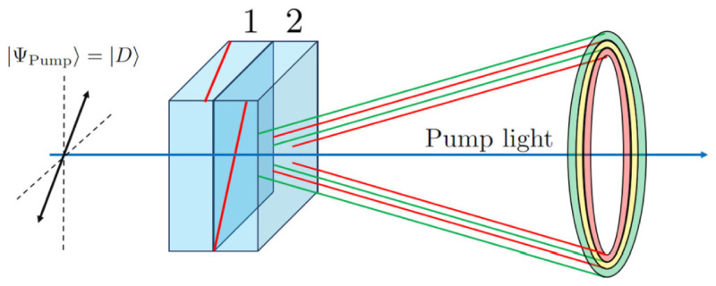 Bell Test